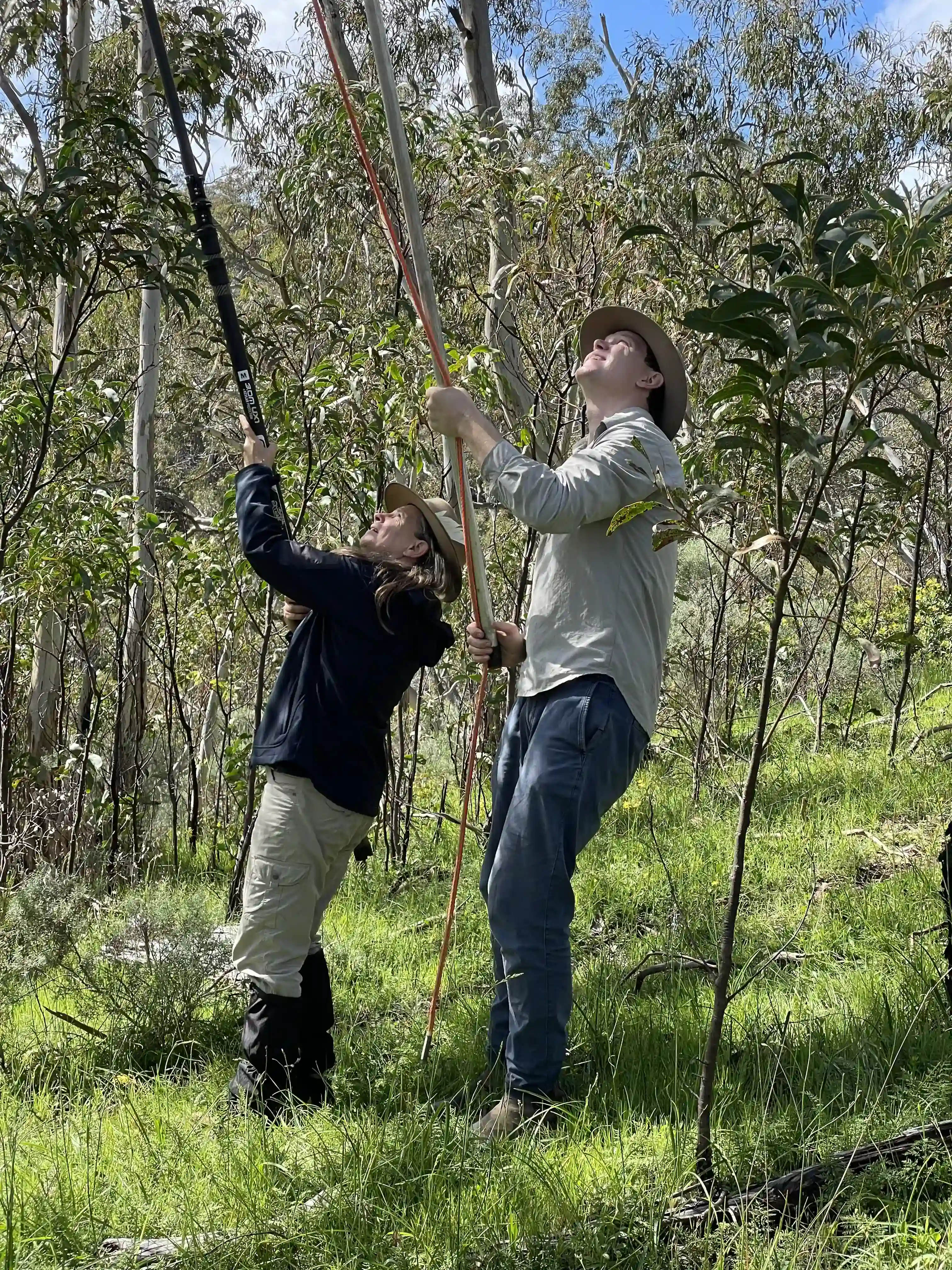 Flagging poles marking the new sanctuary area