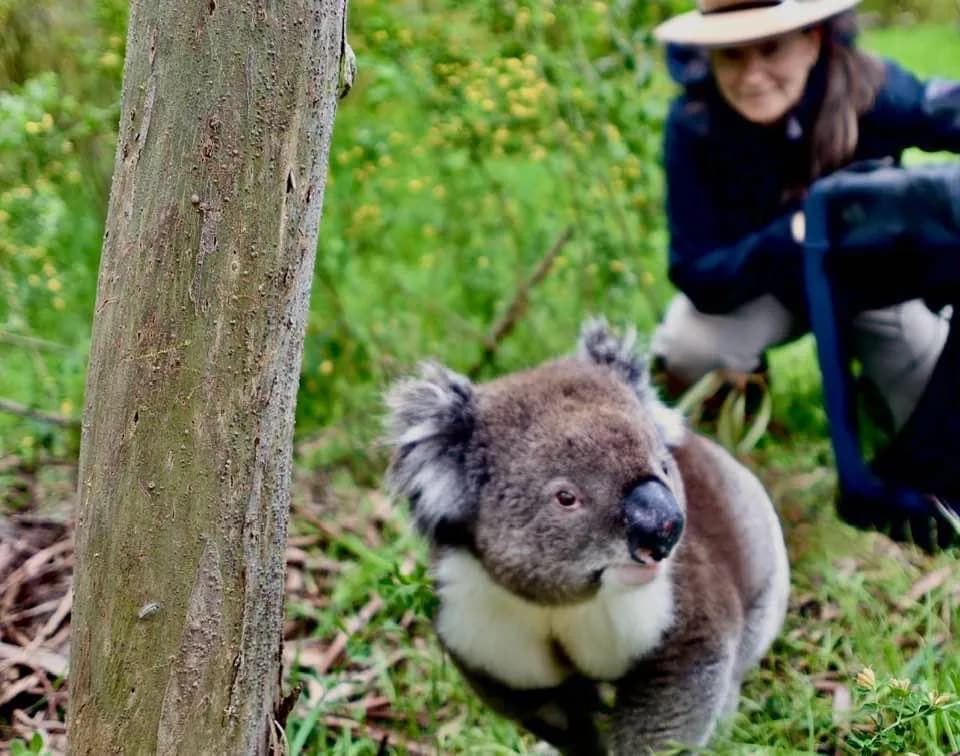 People observing wildlife at the sanctuary