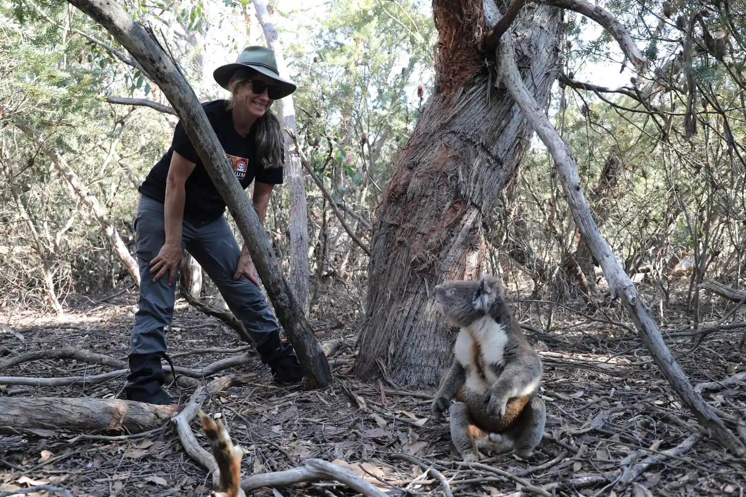 Caring for a koala at the sanctuary